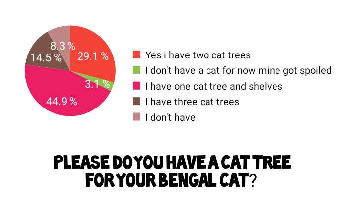 Bengal cats need cat trees