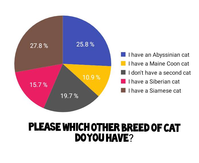 Best cat breeds for the Bengal cat