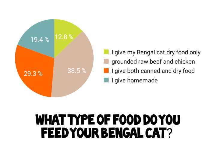 What you should feed your Bengal cat