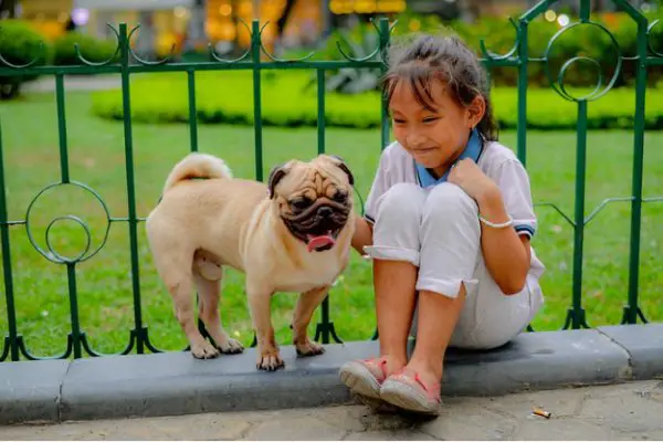Are Pugs Good With Kids